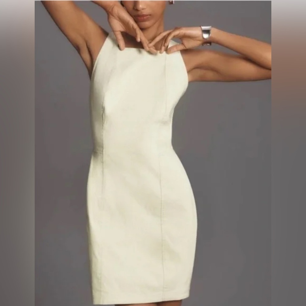 Anthropologie Wide Hip Mini Dress
